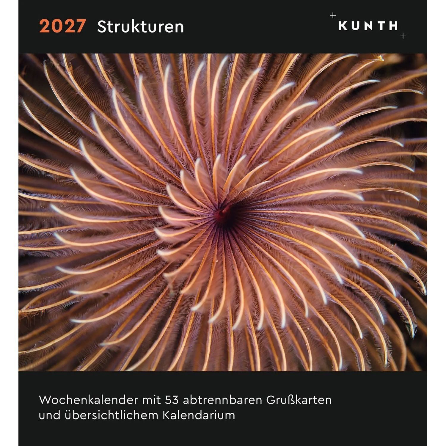 Tischkalender Strukturen - KUNTH Postkartenkalender 2027