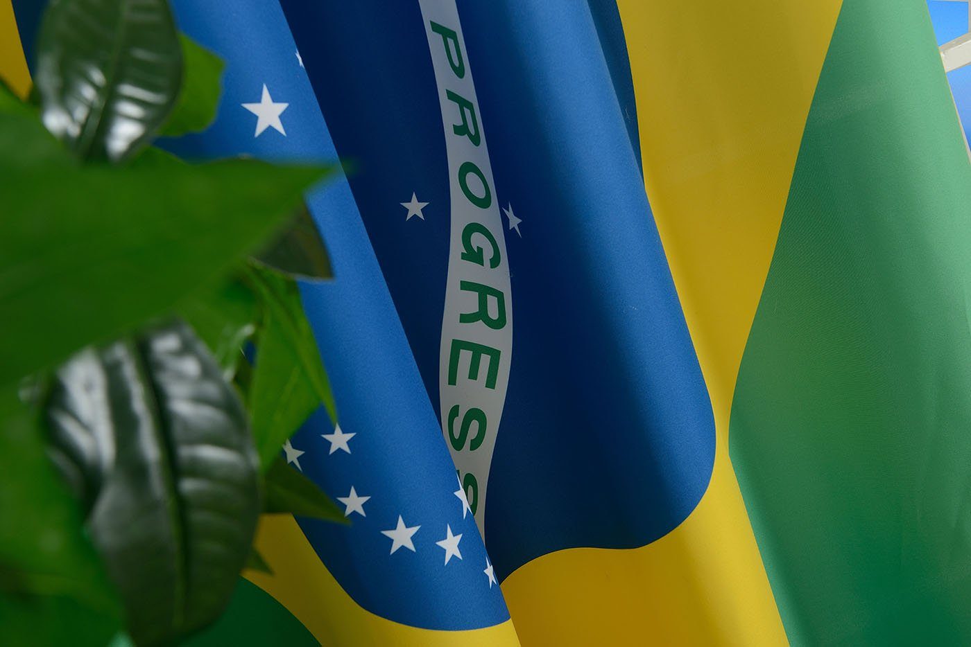 cm 245x140 St), Gardine, Brasilien blickdicht, Fan Gardinenbox, Flagge Flag Fußball Ösen (1 HxB Landesfarben Banner