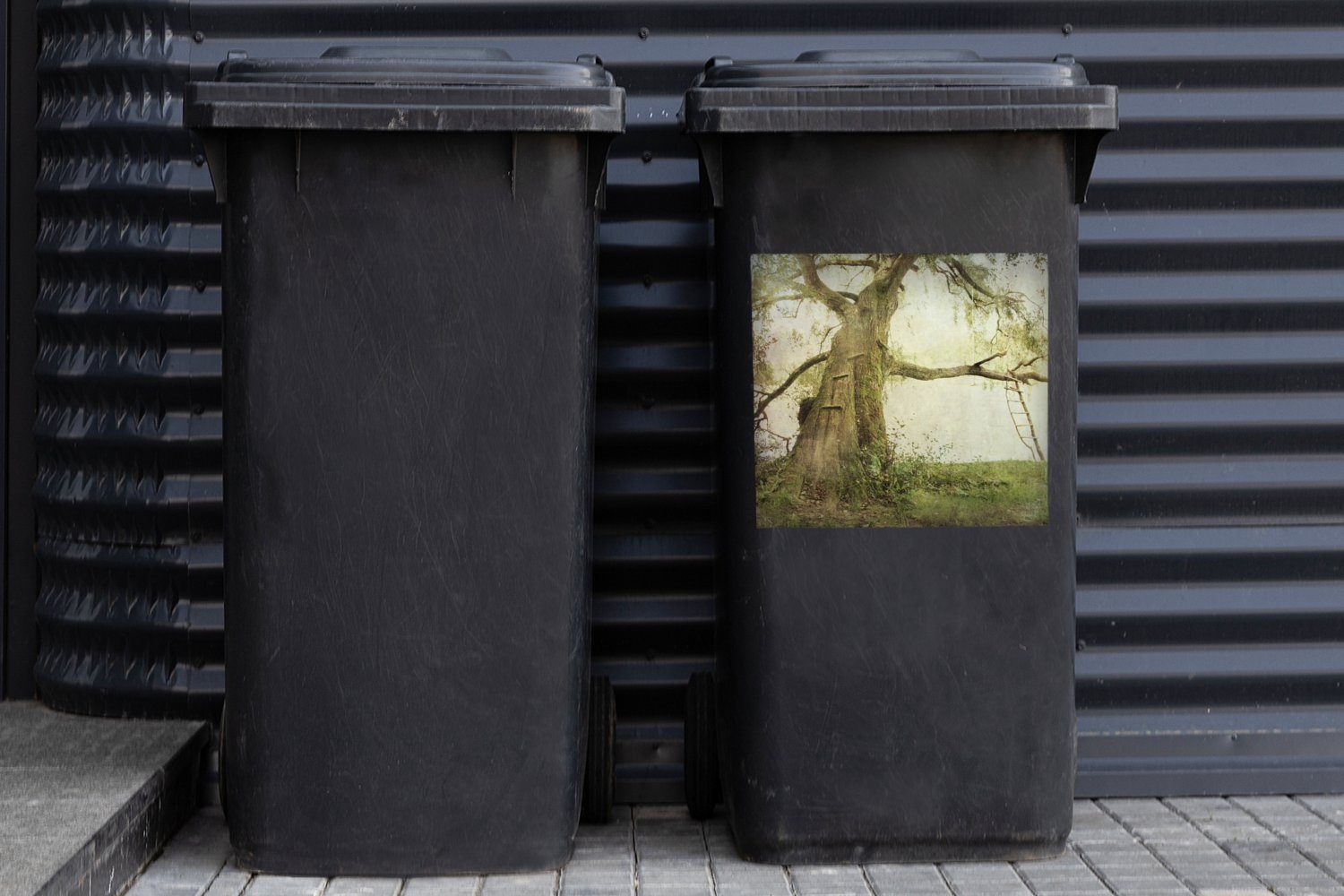 Container, Wielkopolska-Nationalpark St), Mülltonne, Ein MuchoWow uralter in (1 im Sticker, Baum Wandsticker Abfalbehälter Polen Mülleimer-aufkleber,