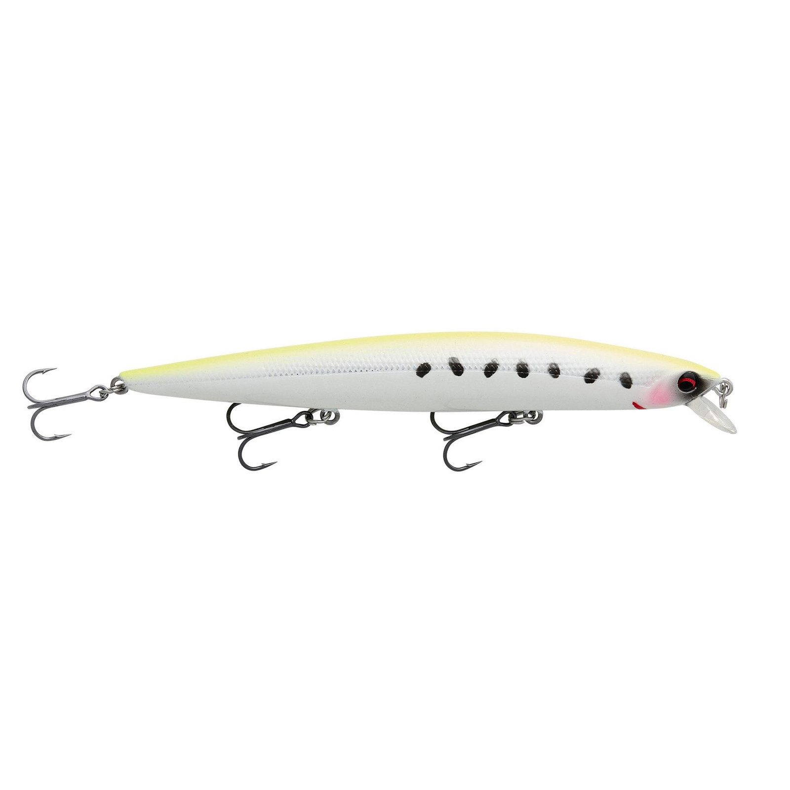 Lemon Sardine
