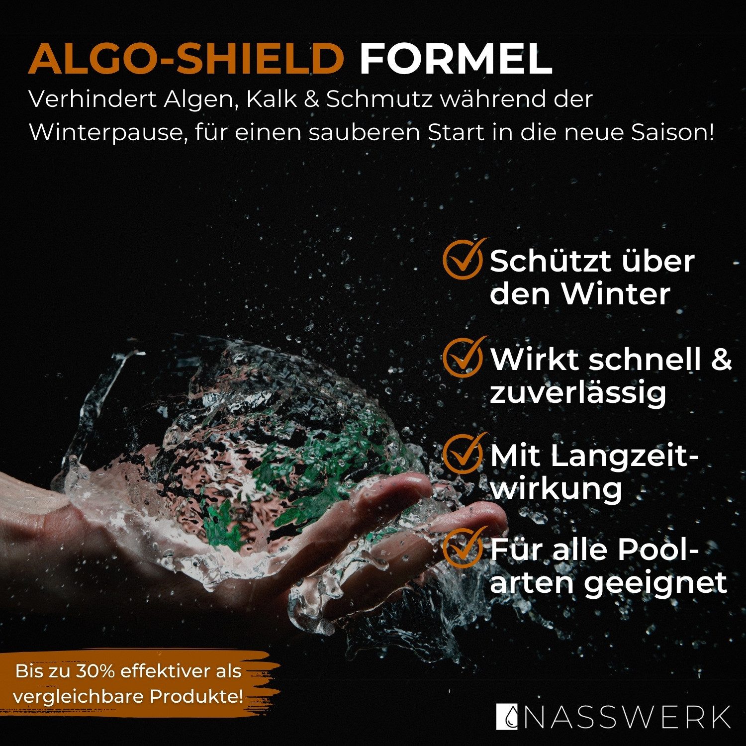 Nasswerk® Poolpflege Effektives Pool Wintermittel mit ALGO-SHIELD Formel, E günstig online kaufen