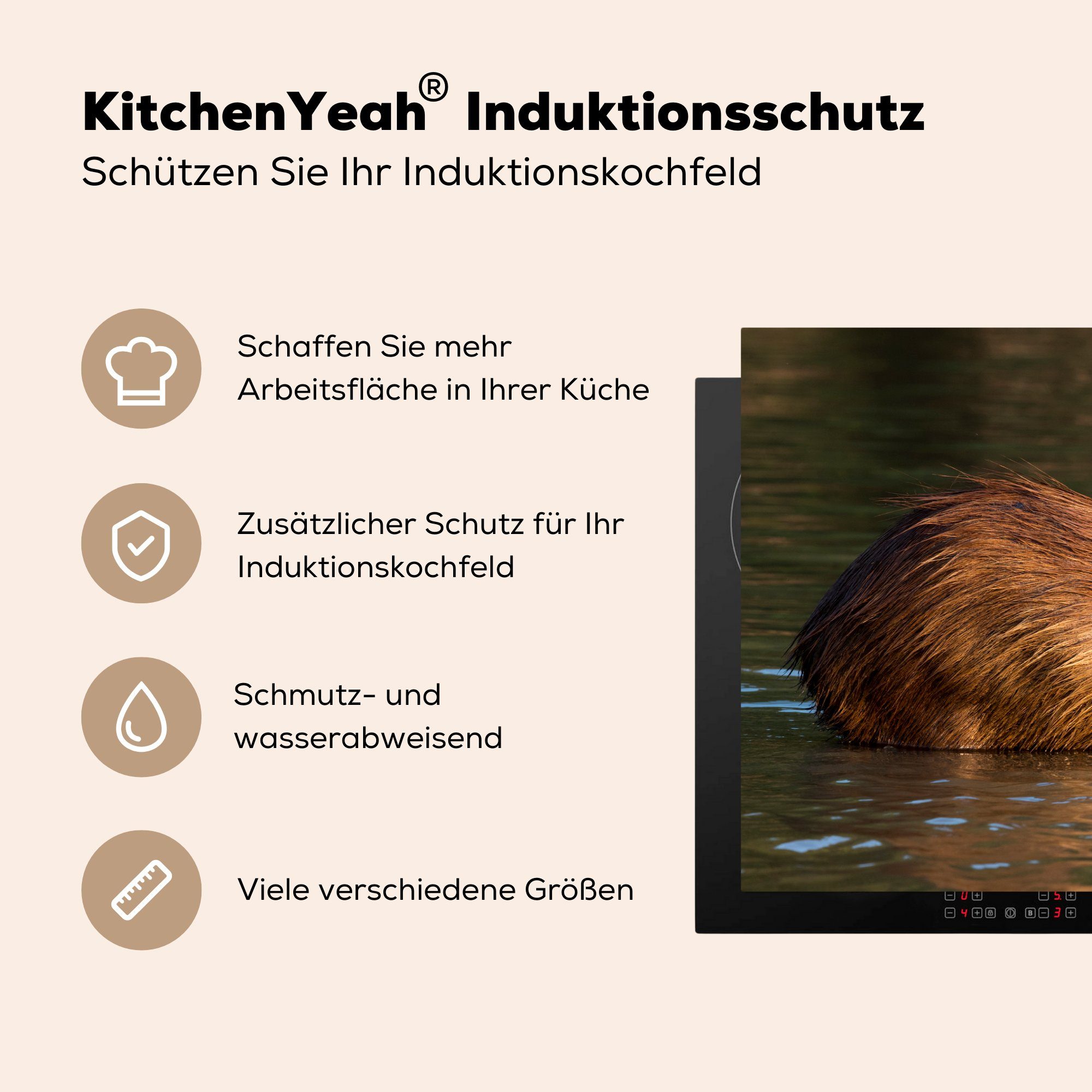 Induktionskochfeld küche, cm, steht Vinyl, 81x52 für Ceranfeldabdeckung Wasser, Schutz Ein Capybara (1 Herdblende-/Abdeckplatte im tlg), MuchoWow die
