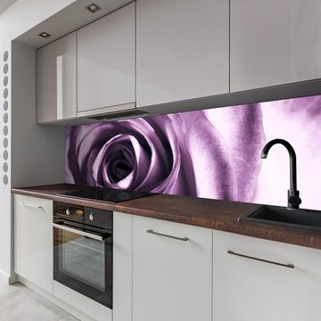 wandmotiv24 Küchenrückwand violette Rose, (1-tlg), Premium Hartschaum Nischenrückwand in versch. Größen