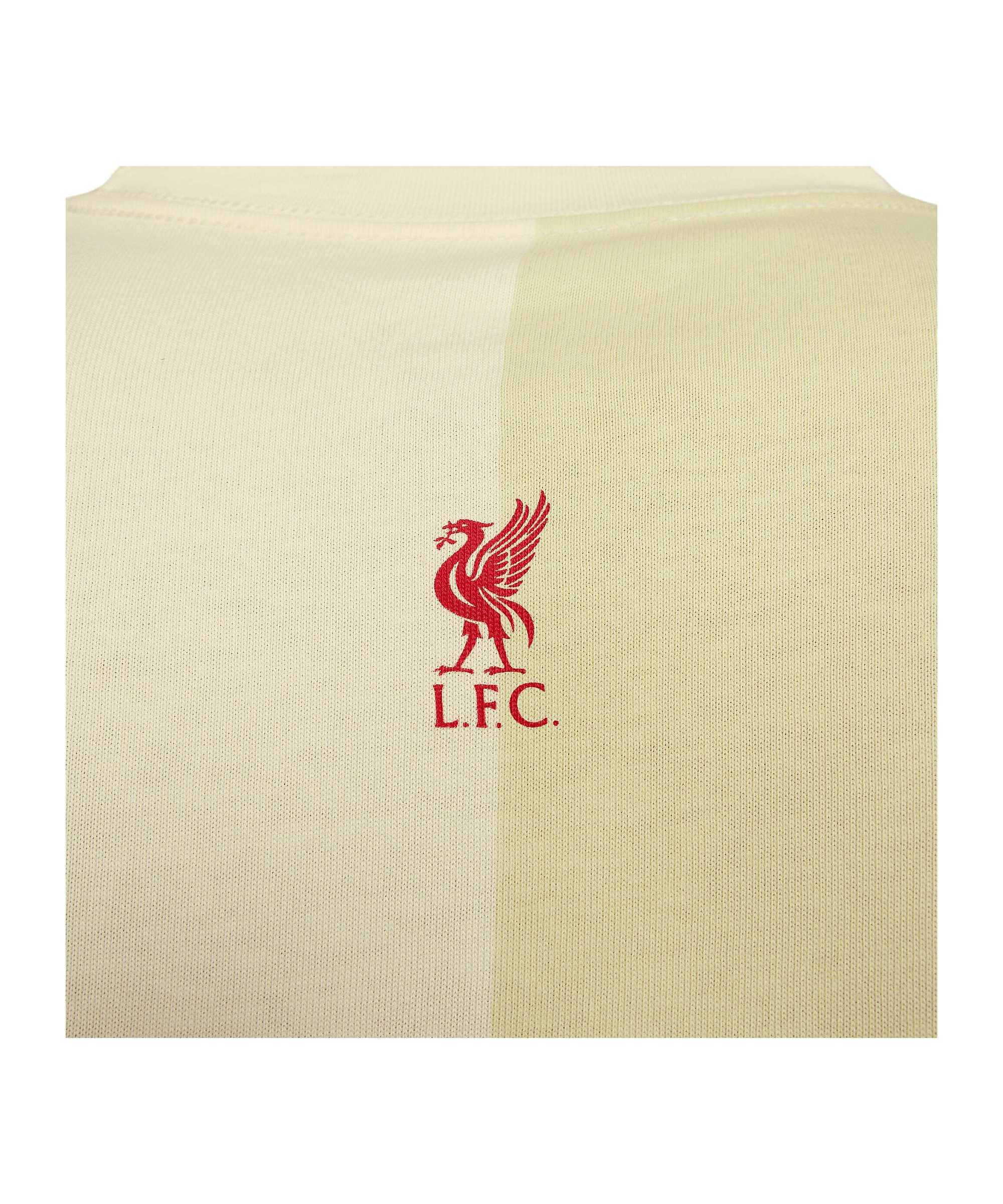 Nike T-Shirt Nike Performance Baumwolle