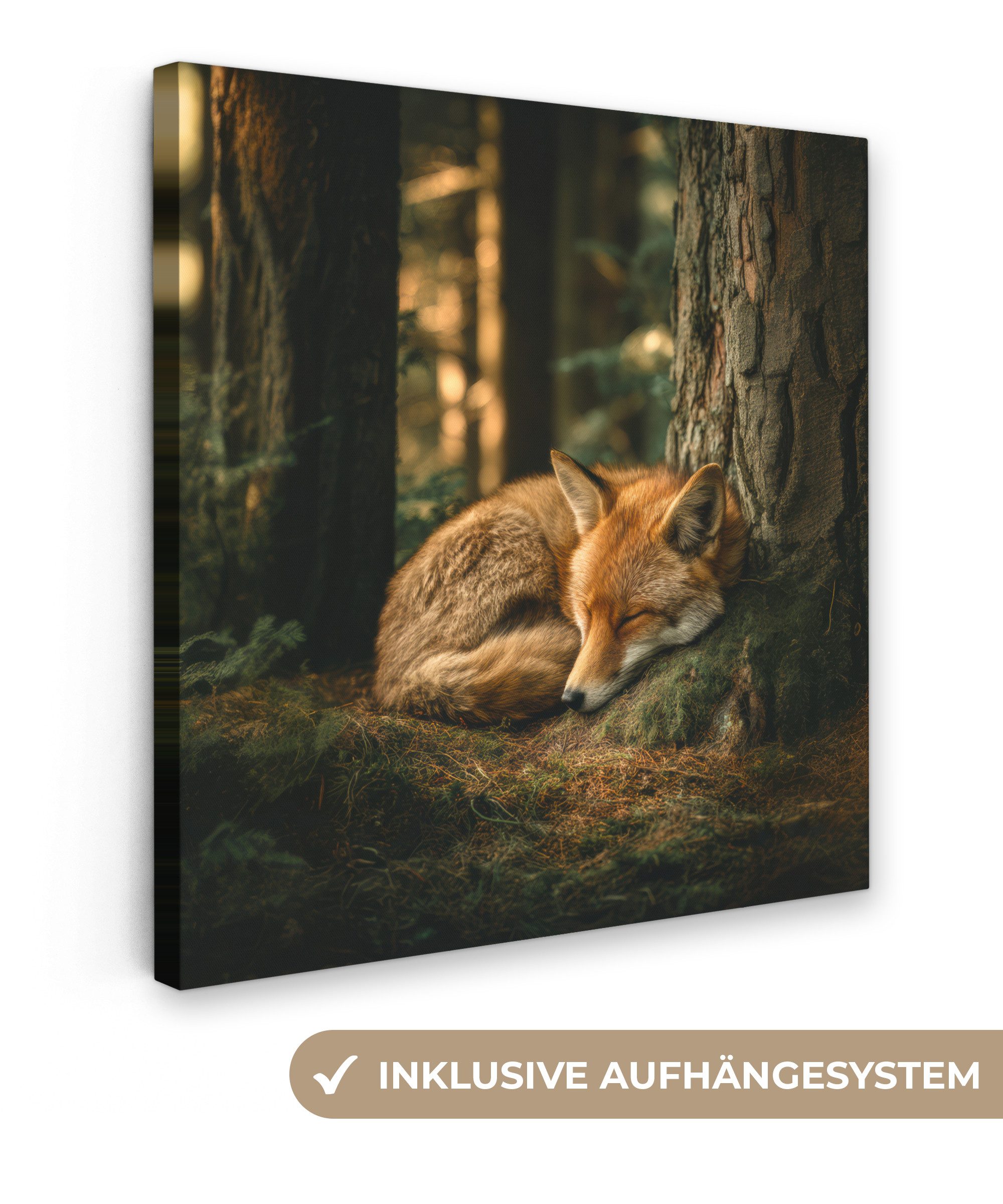 OneMillionCanvasses® Leinwandbild Fuchs - Wald - Schlaf, Fotodruck (1 St), günstig online kaufen