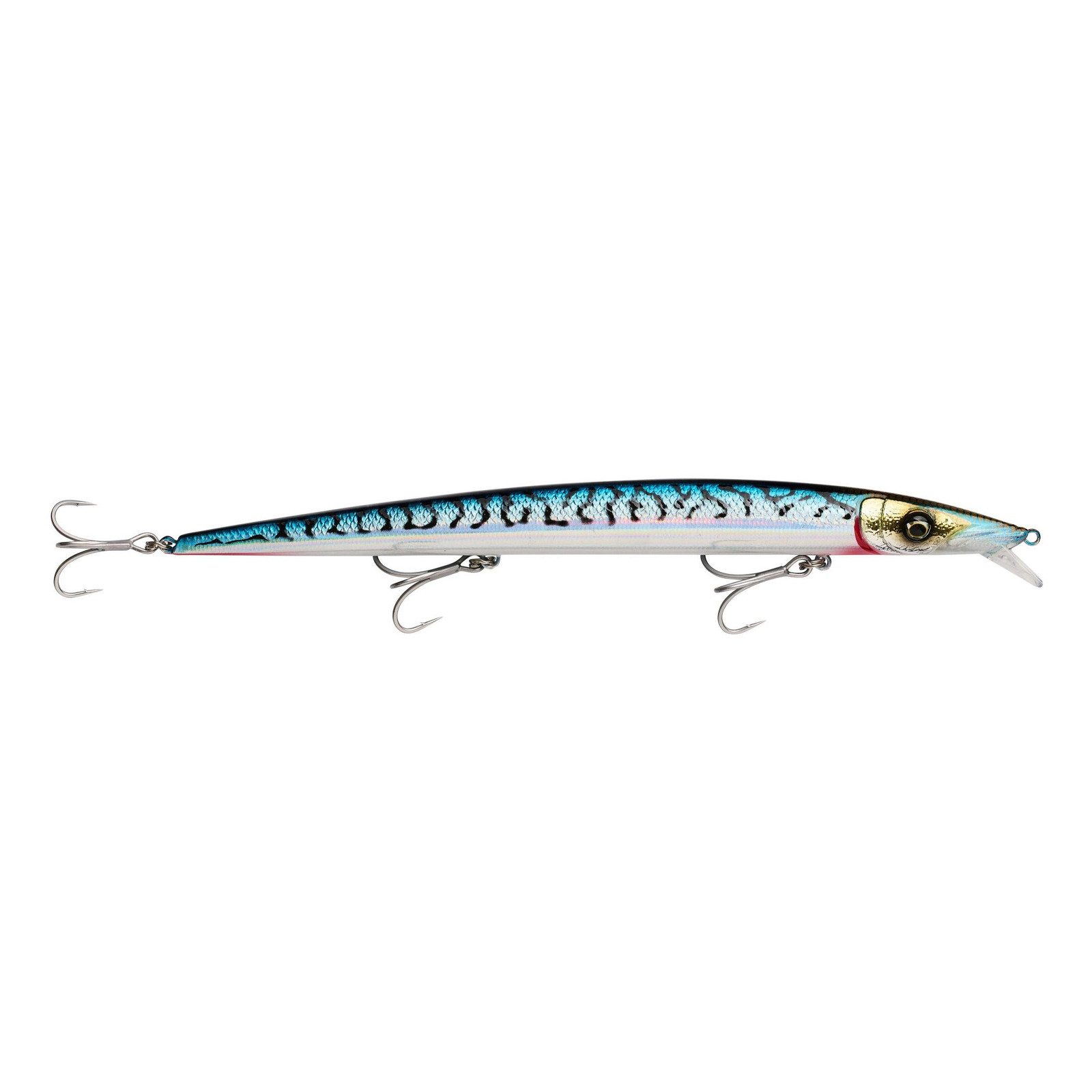 Blue Mackerel