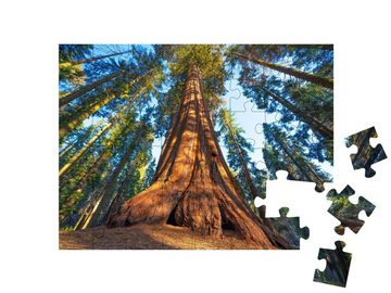 puzzleYOU Puzzle Riesenmammutbaum bei Sonnenuntergang, 48 Puzzleteile, puzzleYOU-Kollektionen Bäume, Wald & Bäume