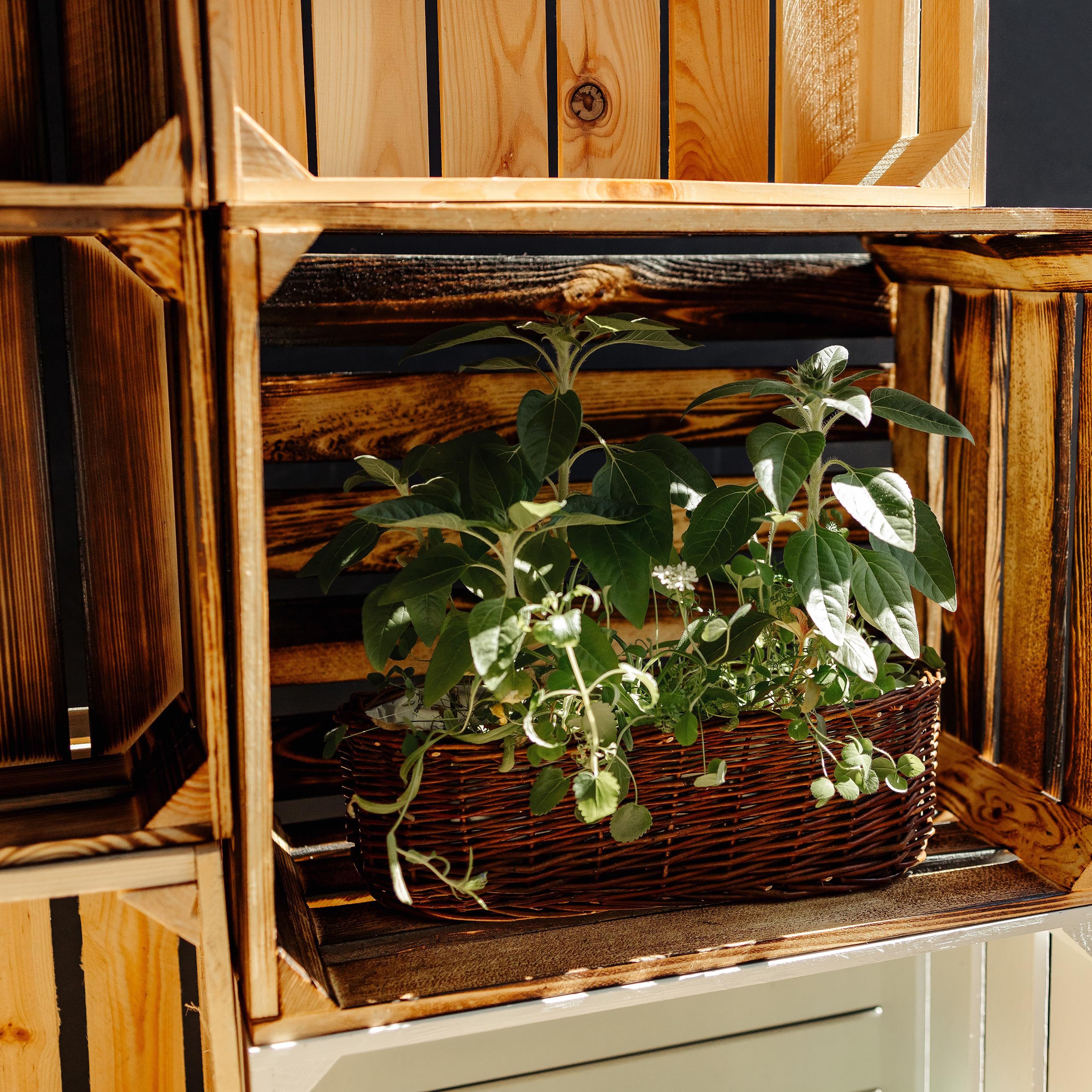 Creative Deco Holzkiste Kiste Holz Deko Holzkiste, Obstkiste Weinkisten Apfelkiste – Bild 5 von 5