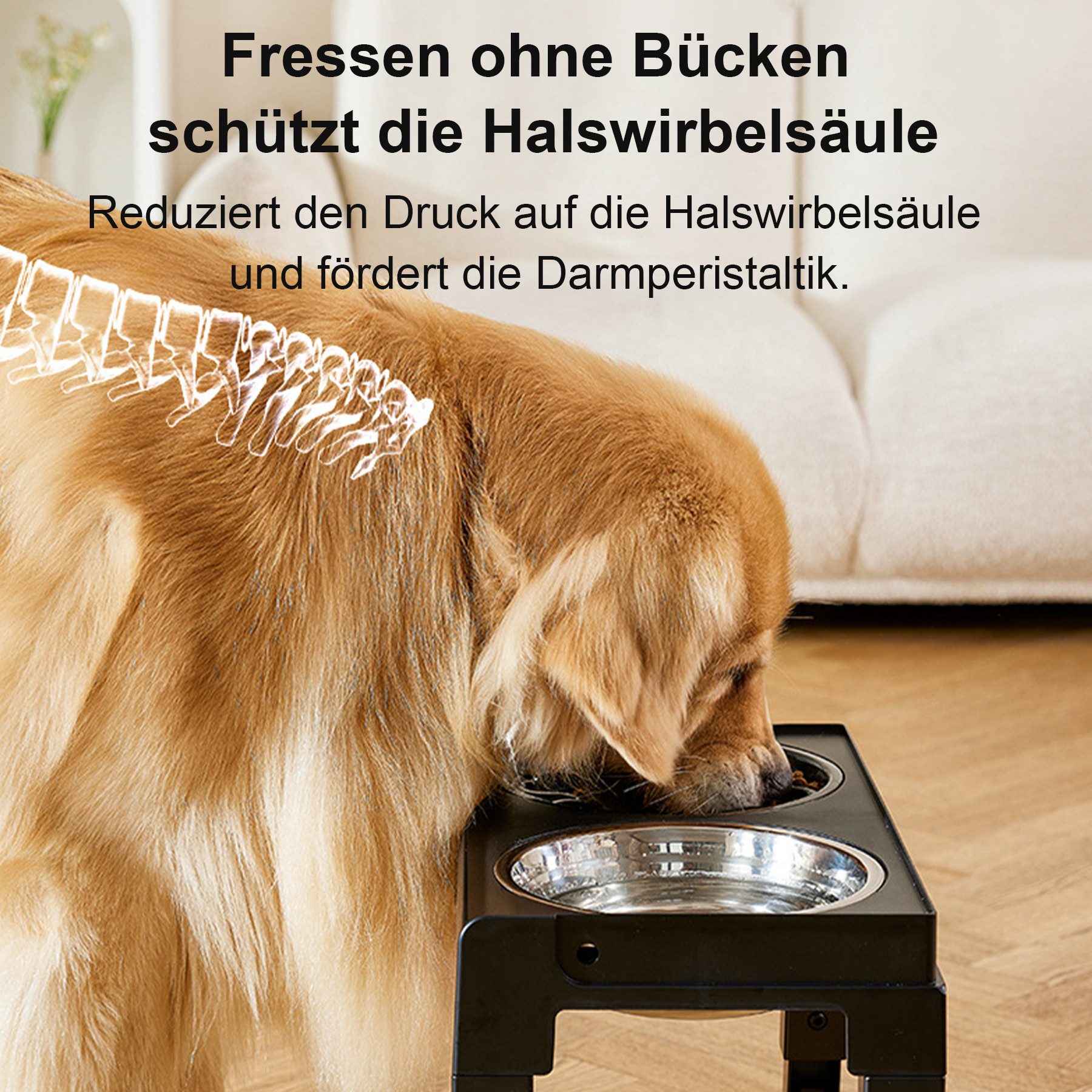 Mutig Futterstation Futternapf für Hunde, 5 Höhenverstellbar erhöhter Hundenapf, 2-in-1 Auslaufsicher Wassernapf & Langsamfutternapf, für Große, Mittelgroße und Kleine Hunde und Haustiere