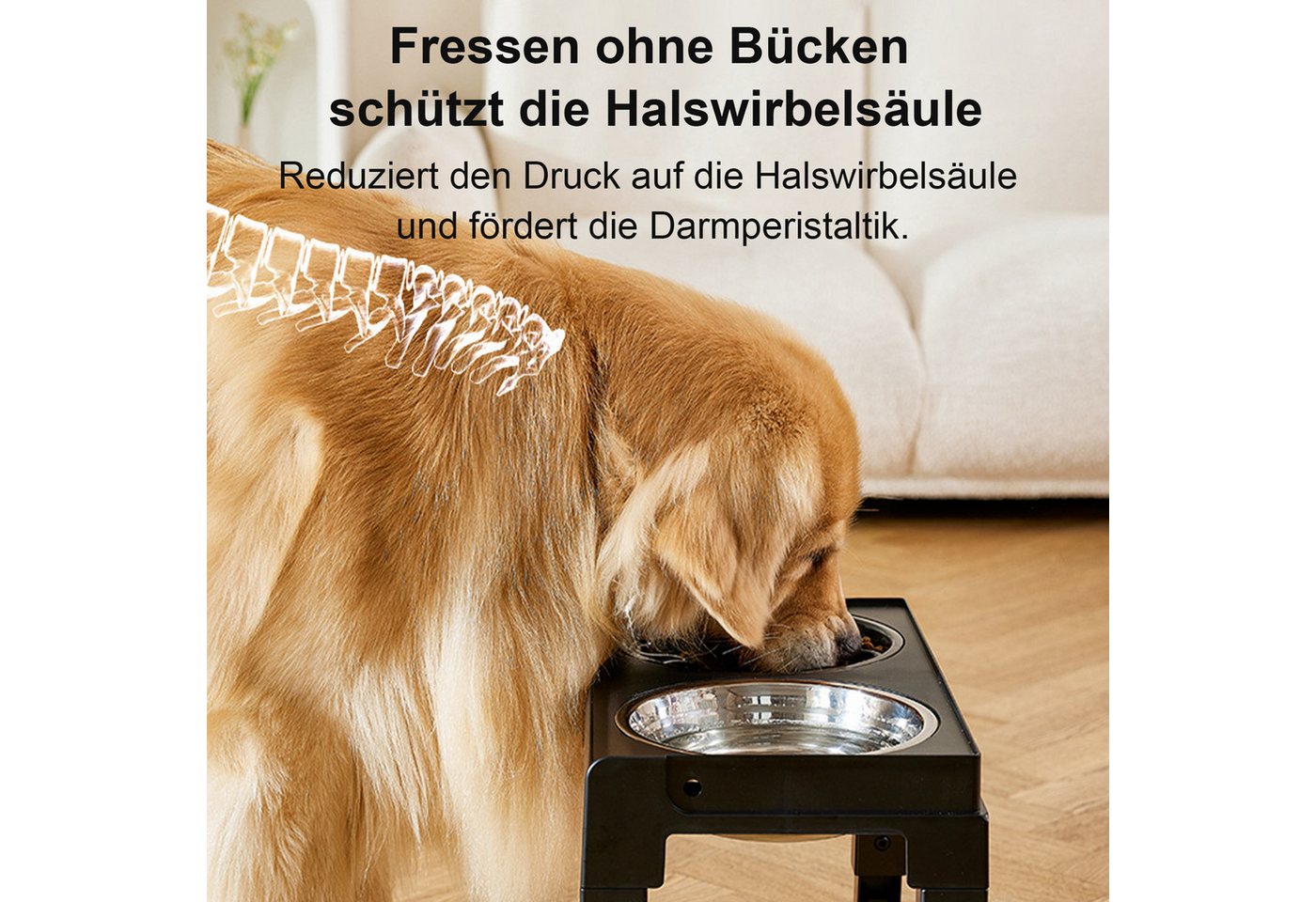 Thumbnail - Mutig Futterstation Futternapf für Hunde, 5 Höhenverstellbar erhöhter Hundenapf, 2-in-1 Auslaufsicher Wassernapf & Langs...