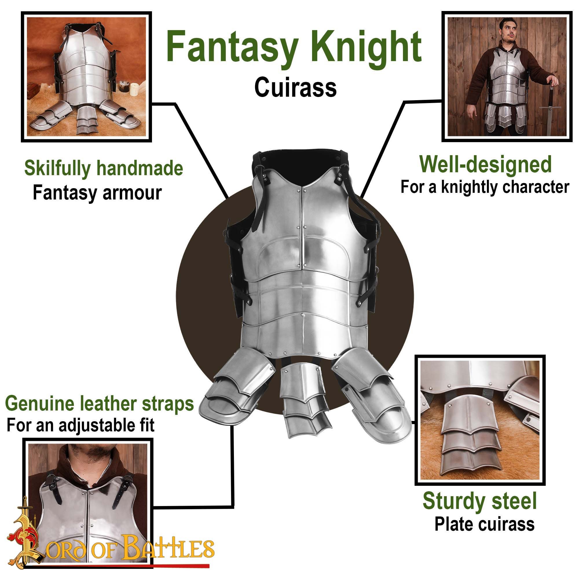 Lord Of Battles Ritter-Kostüm Fantasy Ritter Rüstung Kürass Brustpanzer poliert 20 Gauge M