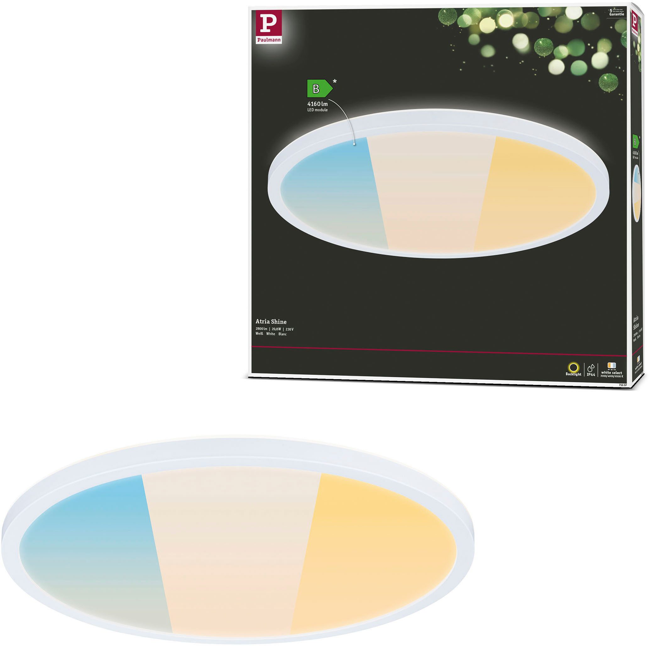 Paulmann LED Deckenleuchte LED Panel Atria günstig online kaufen