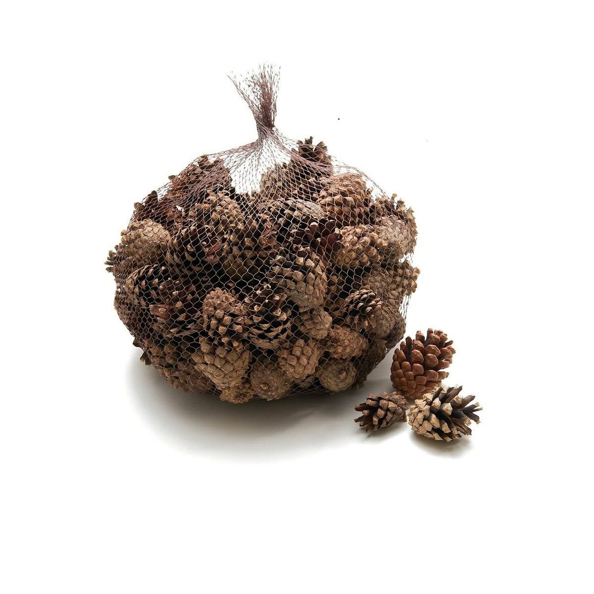 NaDeco Bastelnaturmaterial Sylvestris Zapfen 1kg Waldkiefer Zapfen