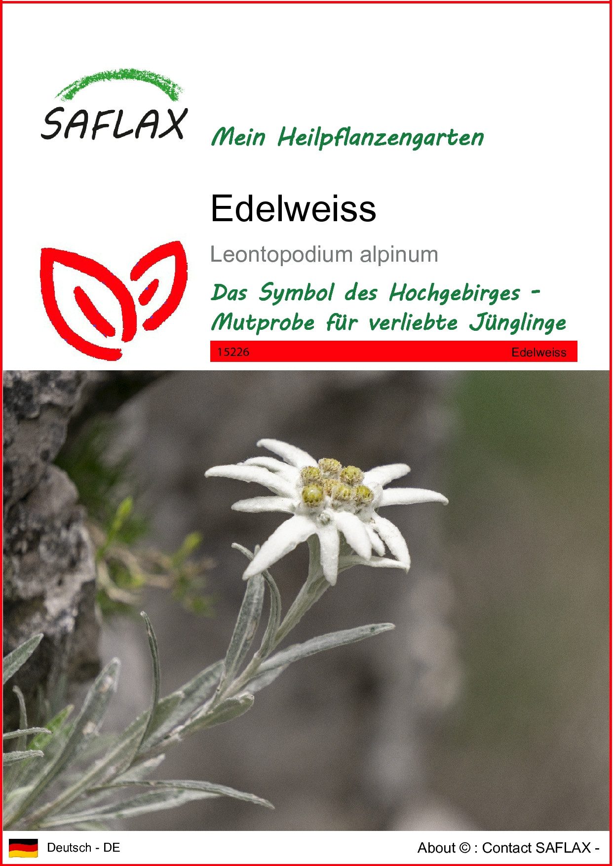 SAFLAX Blumensamen SAFLAX - Samen - Edelweiss