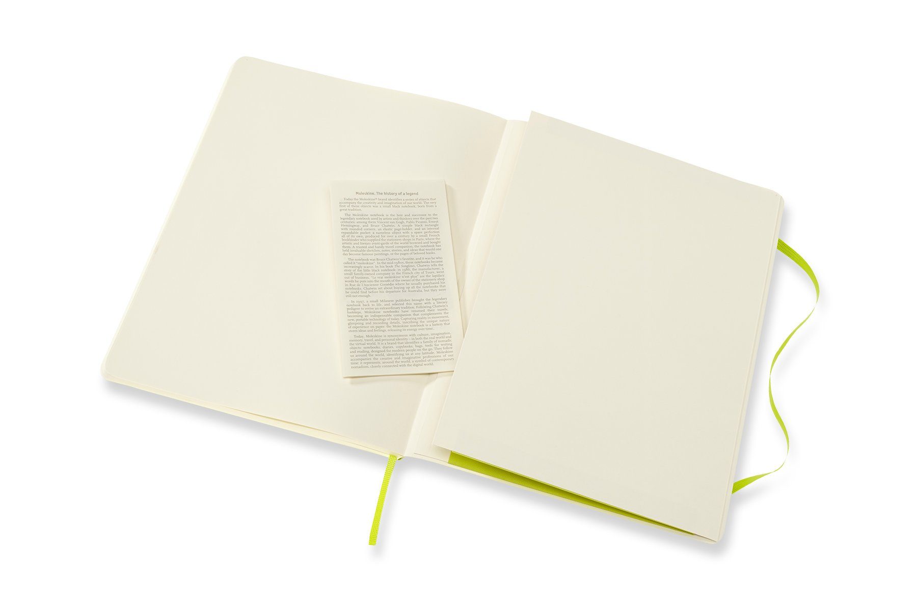 MOLESKINE Notizbuch, Classic Collection - Einband (19x25) - Grün - Soft mit XL weichem Cover Limetten
