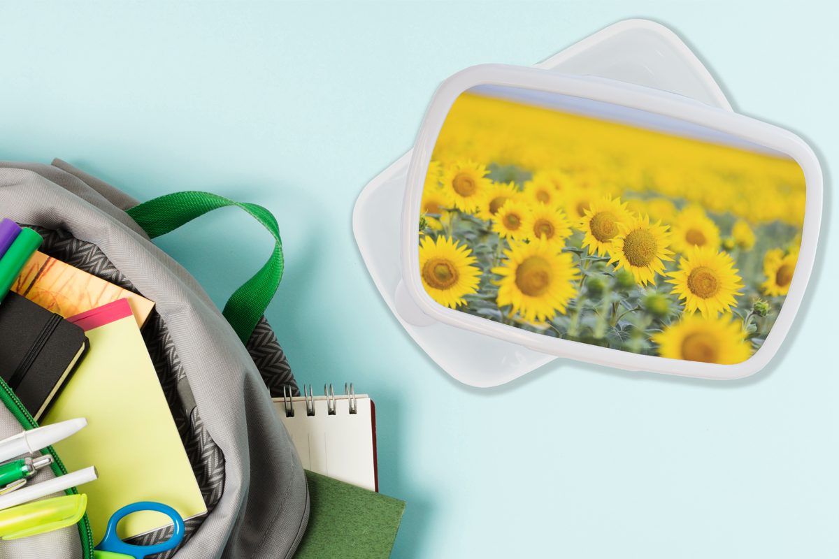 (2-tlg), Jungs für MuchoWow Kinder Brotdose, und Brotbox Lunchbox Gelbe weiß Erwachsene, Mädchen Kunststoff, und für Feldsonnenblumen,