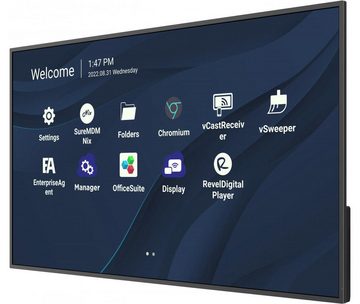 Viewsonic ViewSonic CDE4330 (43) 109,2cm LED-Display LED-Monitor (3.840 x 2.160 Pixel (16:9), 7 ms Reaktionszeit, VA Panel)