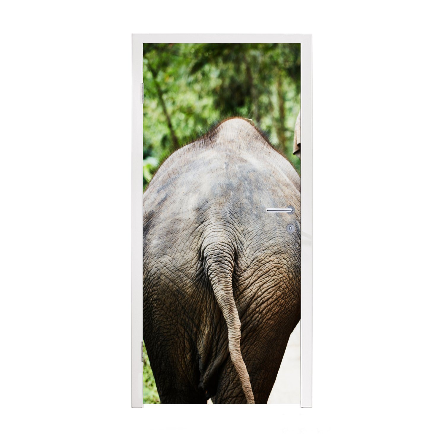 bedruckt, Türaufkleber, Fototapete (1 - Tür, - Elefant Matt, MuchoWow Tiere 75x205 Türtapete cm St), Grau - Natur, für