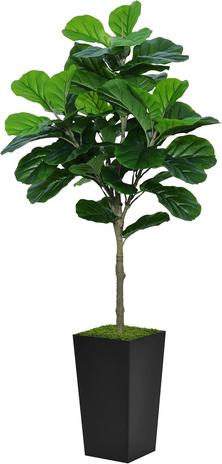 Kunstbaum 150 cm Künstlicher Geigenfeigenbaum geruchlos mit schwarzem Topf Kunstpflanze Geigenfeige mit künstlichem Moos-Geruchlos, Pflegeleicht, Stabil, Pflegefrei für Innen & halboffene Bereiche, SURFOU, Höhe 150 cm, Schlafzimmer, Wohnzimmer, Büros, Einkaufszentren, Hotels, Restaurants