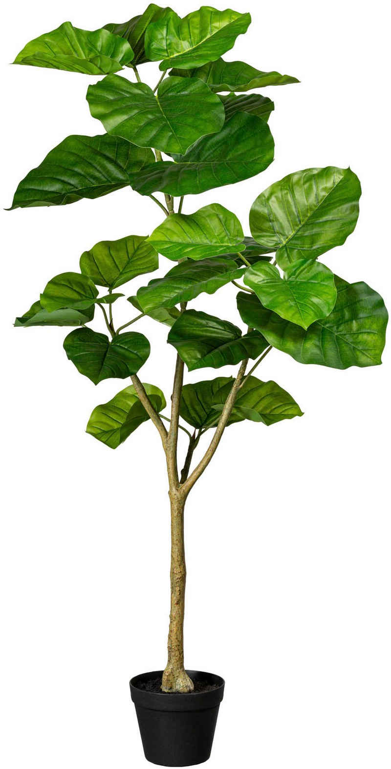 Kunstbaum Ficus umbellata Grünpflanze, Creativ green, Höhe 125 cm