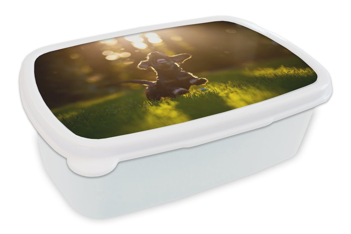 MuchoWow Lunchbox Welpe läuft im Gras, Kunststoff, (2-tlg), Brotbox für Kinder und Erwachsene, Brotdose, für Jungs und Mädchen weiß