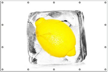 Wallario Sichtschutzzaunmatten Zitrone in Eiswürfel - Eiskaltes Obst, rund