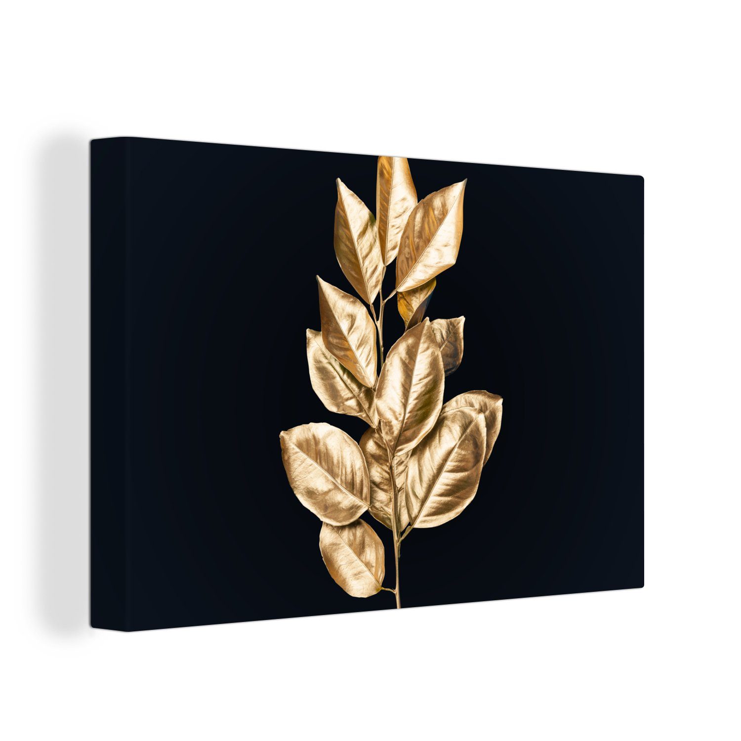 OneMillionCanvasses® Leinwandbild Pflanze - Blätter - günstig online kaufen