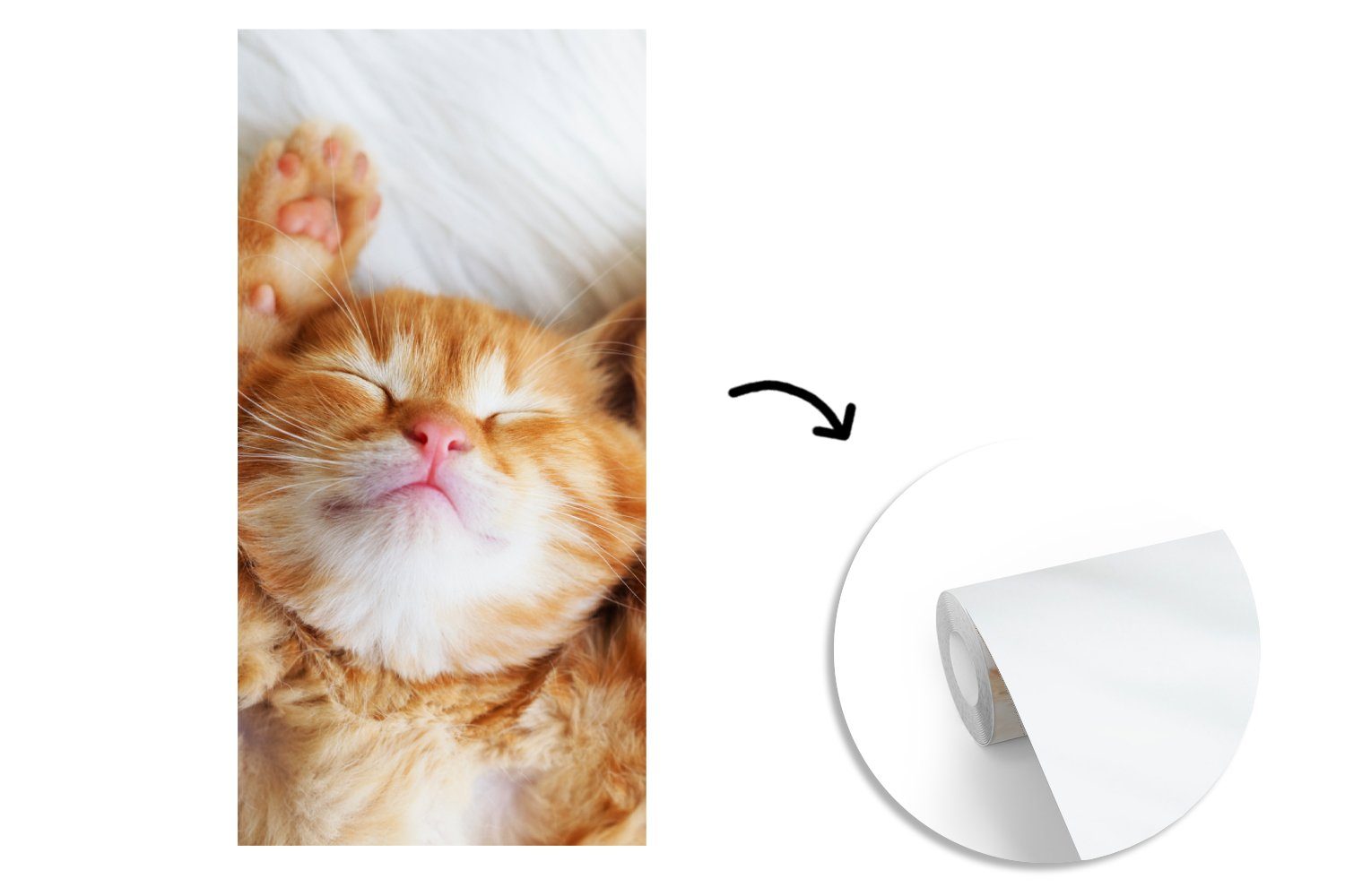 MuchoWow Fototapete Katze - Rot Matt, - Schlafzimmer (2 Küche, Kätzchen, Wohnzimmer St), für Haustiere bedruckt, - Fototapete Vliestapete