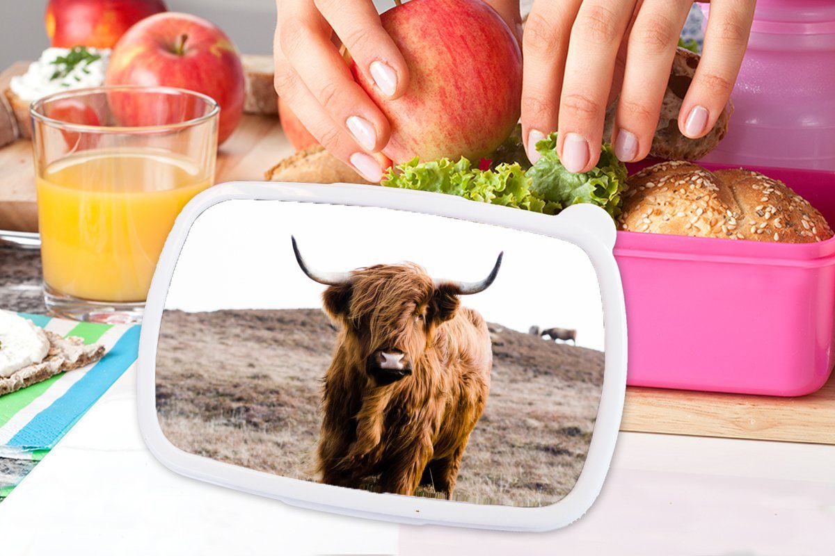 Lunchbox Mädchen, rosa Erwachsene, - Kuh - Kinder, Natur, Brotbox für Braun Kunststoff, - - MuchoWow Tiere - (2-tlg), Snackbox, Kunststoff Brotdose Schottische Highlander Landschaft