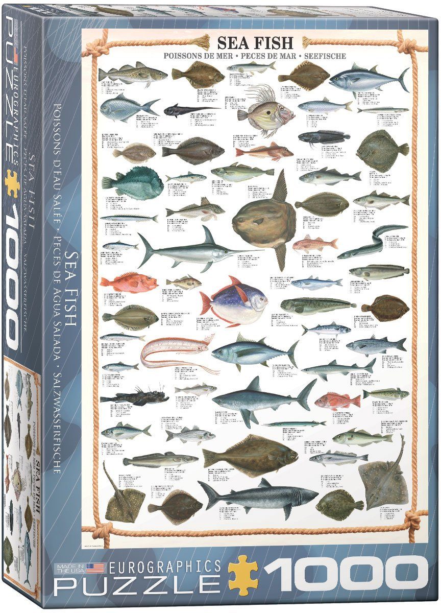 empireposter Puzzle Seefische Meeresfische - 1000 Teile Puzzle im Format 68x48 cm, Puzzleteile