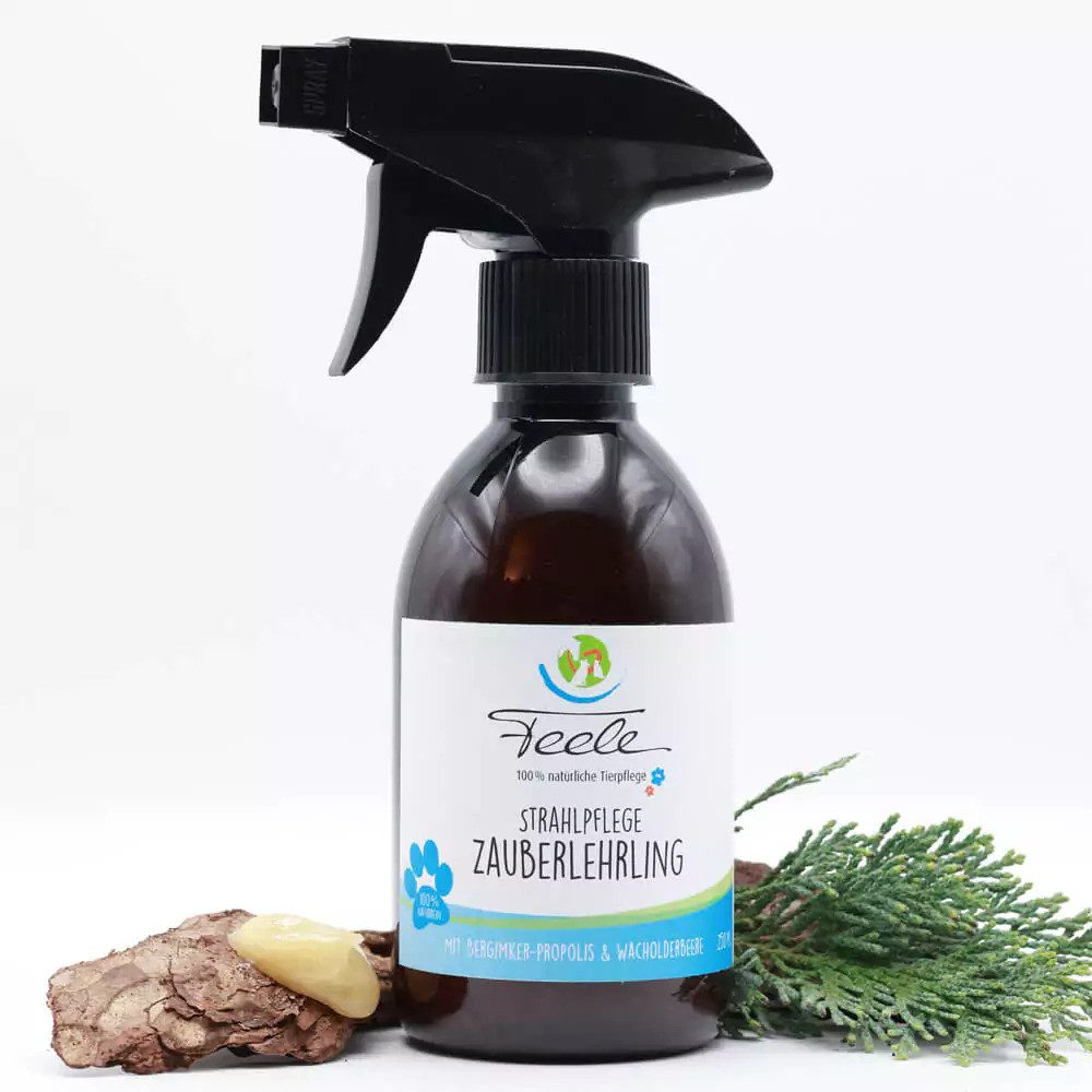 EPONA Tierpräparate Feele Strahlpflege „Zauberlehrling“ 250ml