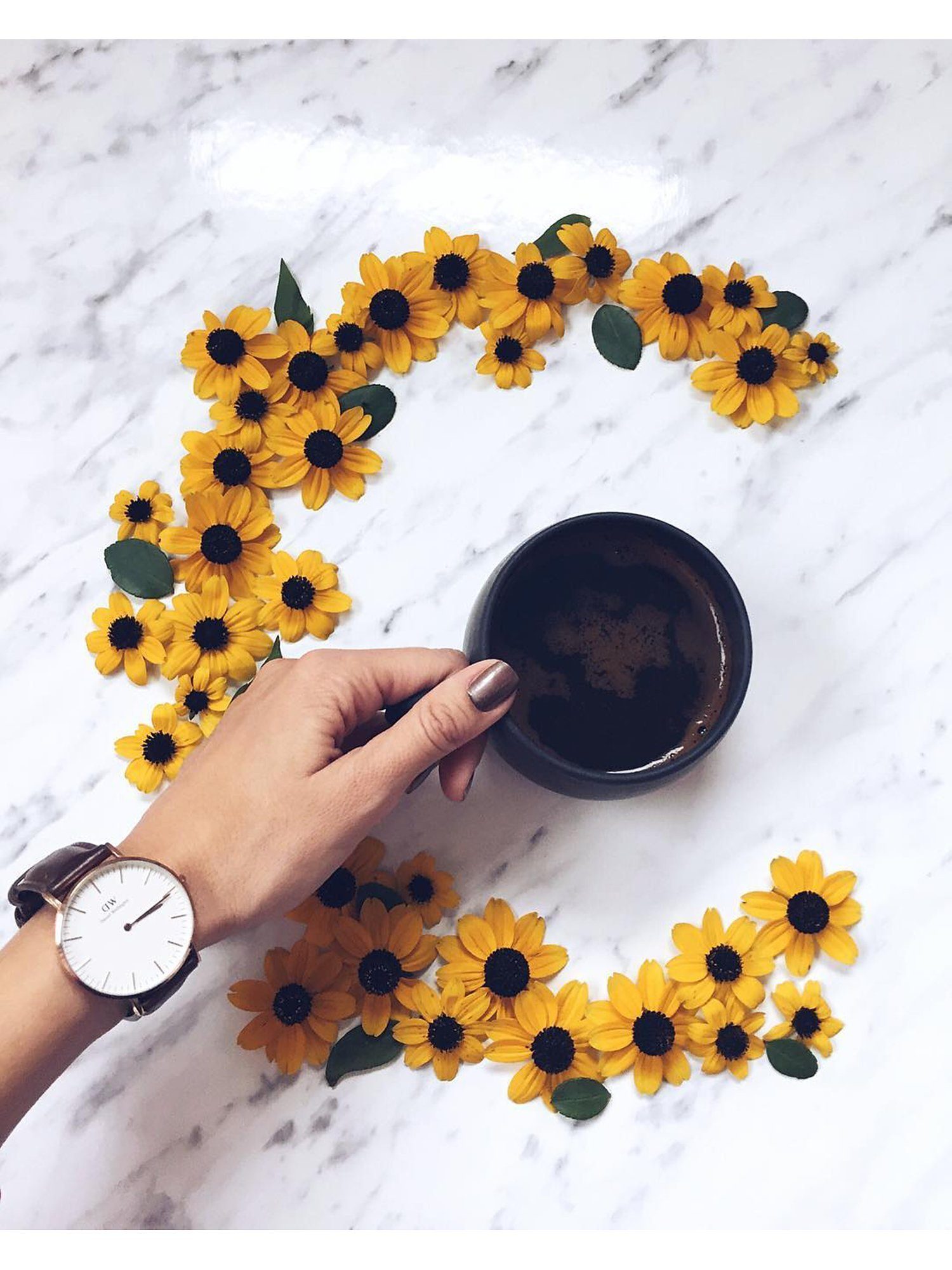 Daniel Wellington Quarzuhr Daniel Wellington Damen-Uhren Analog Quarz