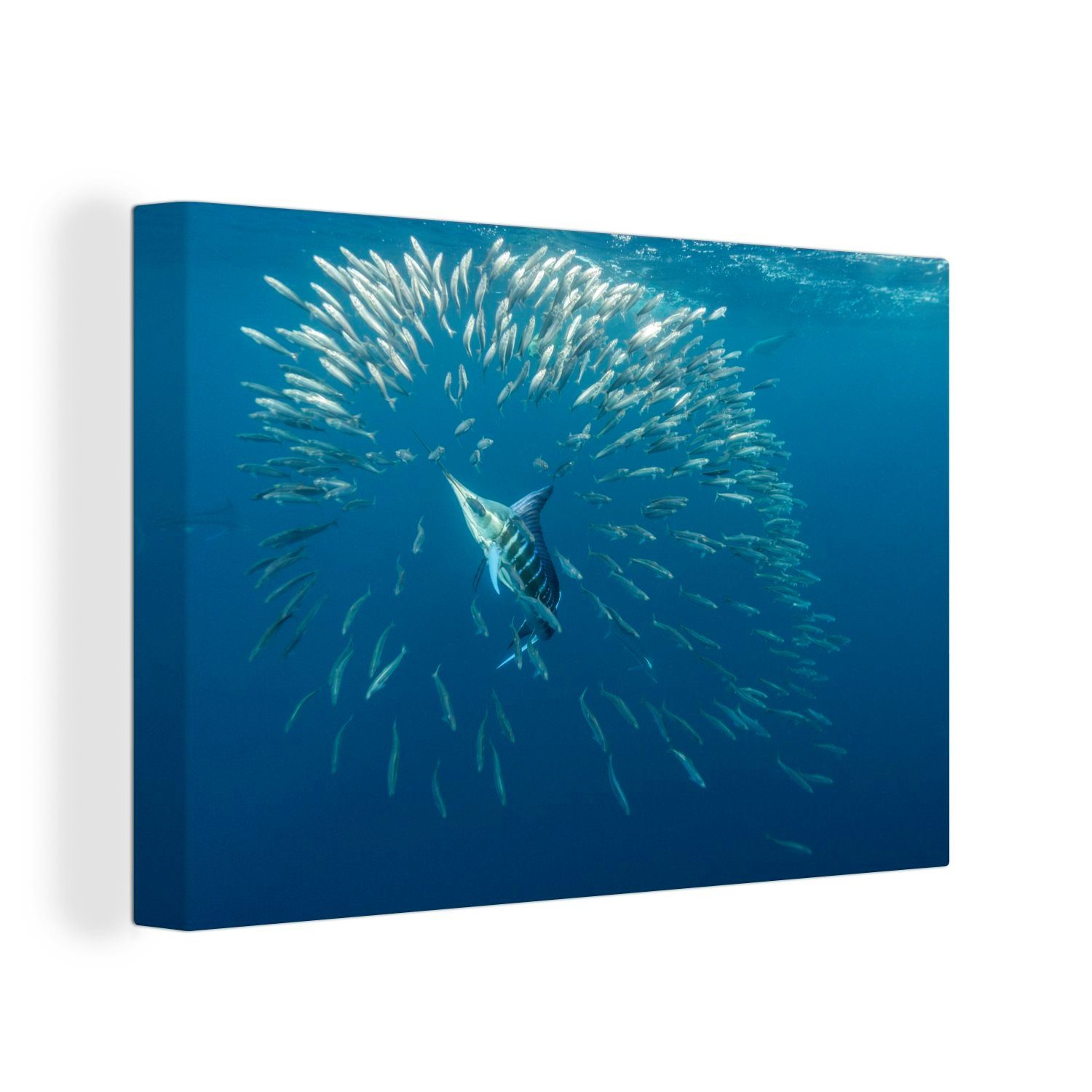 OneMillionCanvasses® Leinwandbild Schwertfisch - Blau - Wasser, (1 St), Wandbild Leinwandbilder, Aufhängefertig, Wanddeko, 30x20 cm