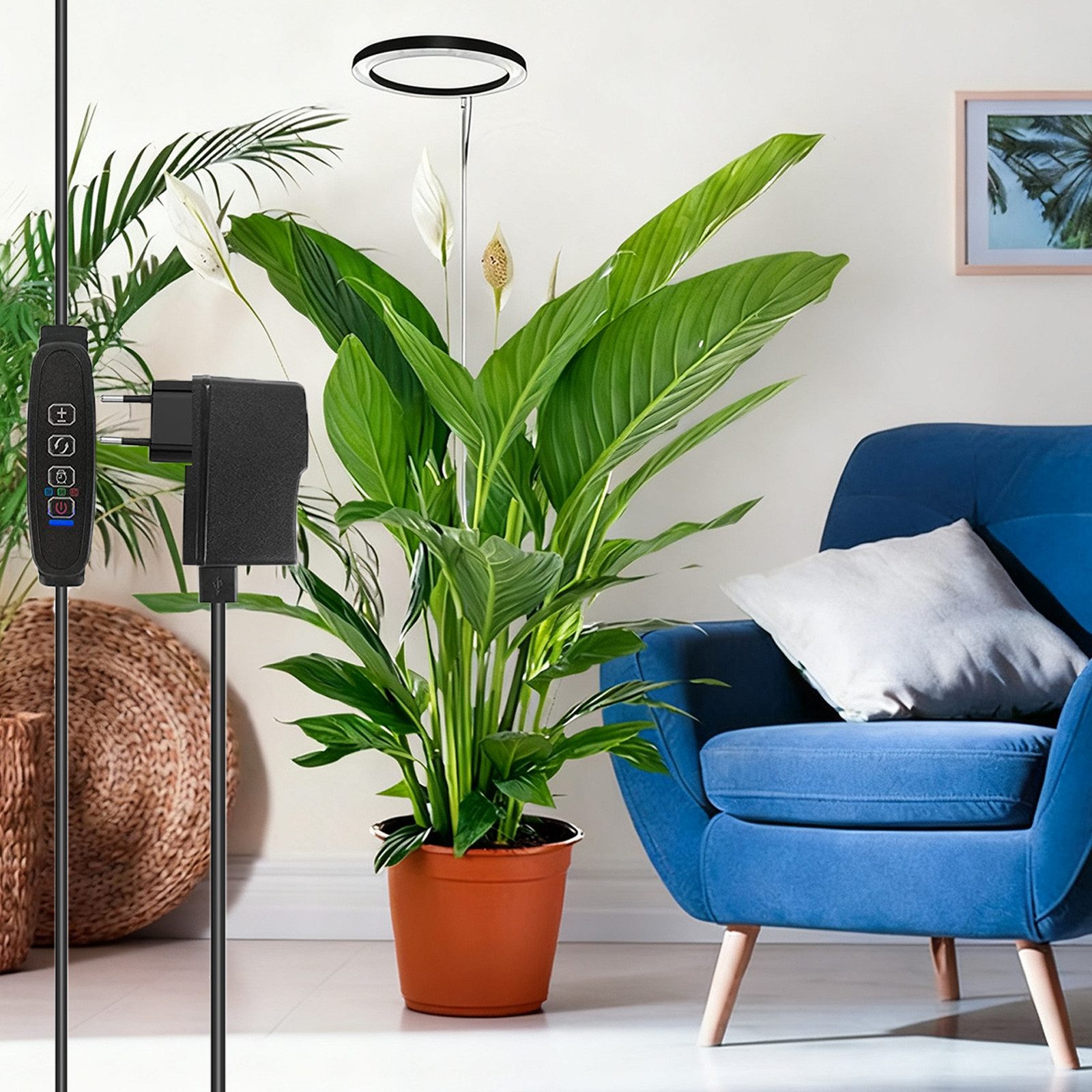 Laybasic Pflanzenlampe Vollspektrum 160LED Pflanzenlicht, Wachstumslampe für Pflanzen Indoor, 35-155cm Höhe verstellbar