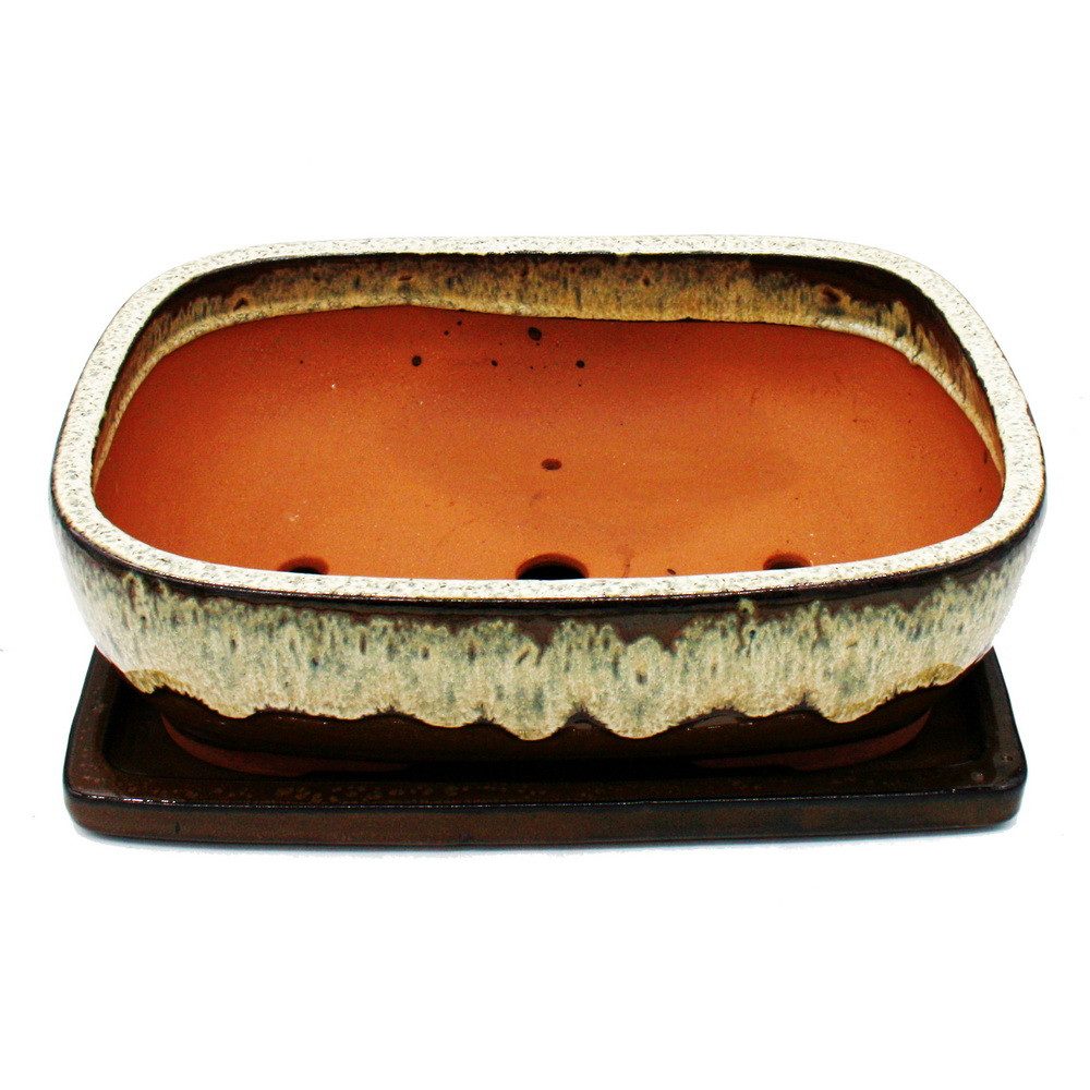 Exotenherz Pflanzschale Bonsai-Schale Unterteller Gr. 6 Braun-Beige rechteckig GB5 L 37cm (1 St)