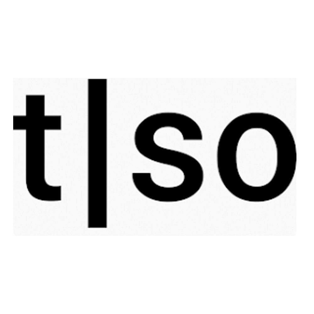 Torso Electronics