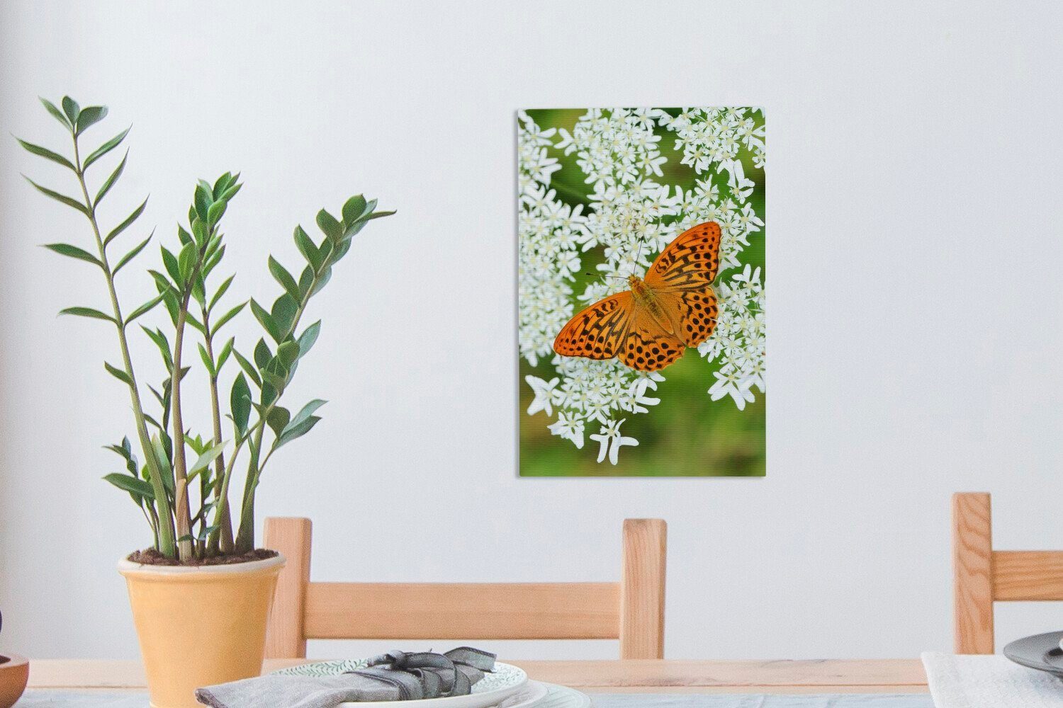 inkl. fertig OneMillionCanvasses® Schmetterling einem (1 cm orangefarbener ist bespannt Leinwandbild 20x30 gelandet, Kerbel auf Leinwandbild Zackenaufhänger, Gemälde, St), Ein