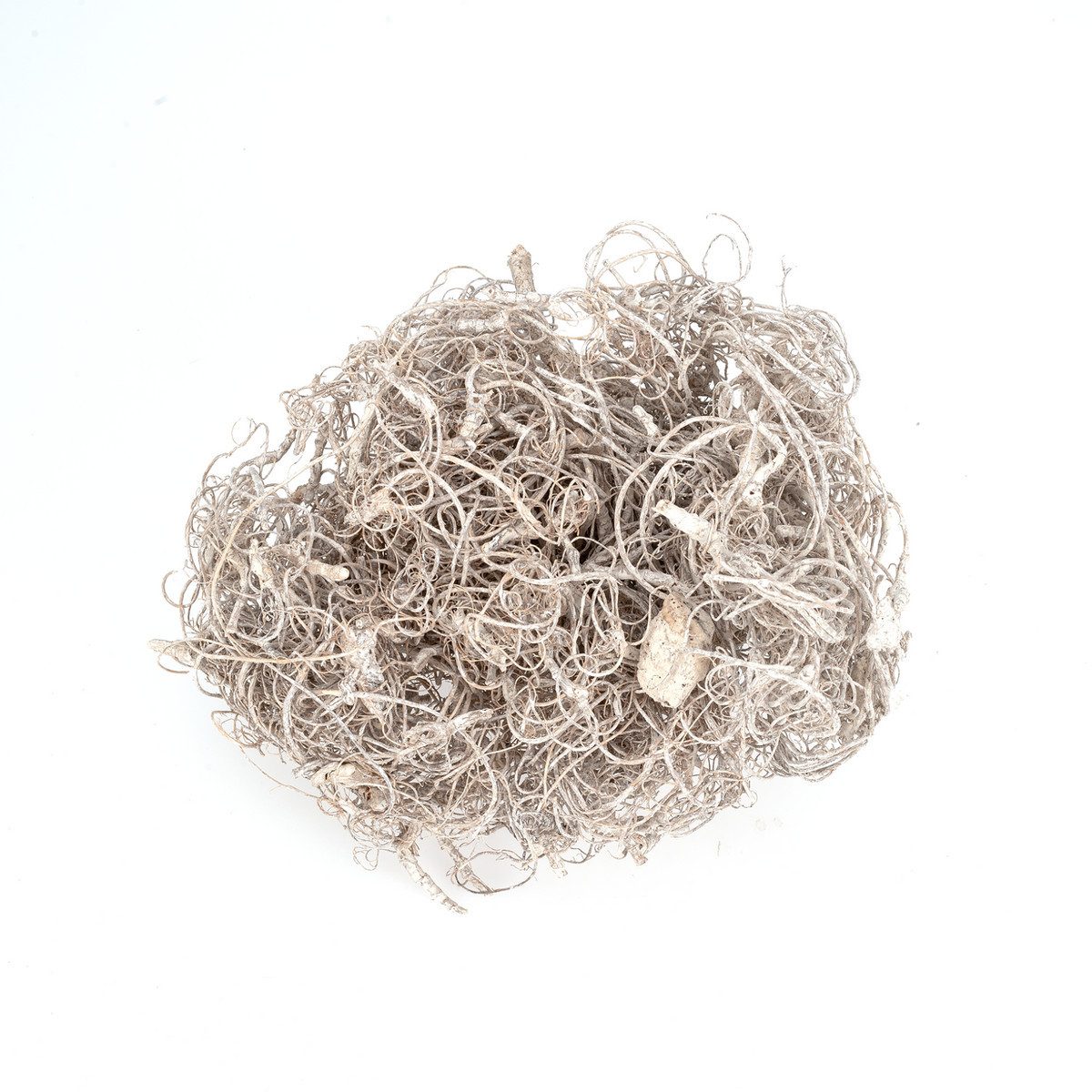 NaDeco Bastelnaturmaterial Curly Moos in Weiß gefärbt, (gefrostet (White Wash) Gewicht ca. 50g