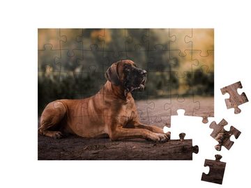 puzzleYOU Puzzle Hund: Deutsche Dogge, 48 Puzzleteile, puzzleYOU-Kollektionen Doggen