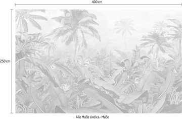 Komar Vliestapete Amazonia Black and White, (1 St), 400x250 cm (Breite x Höhe), Vliestapete, 100 cm Bahnbreite