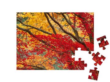 puzzleYOU Puzzle Bunte Ahornbäume, hübsche Farben zum Herbst, 48 Puzzleteile, puzzleYOU-Kollektionen Flora, Pflanzen, Blumen & Pflanzen