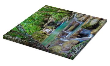 Posterlounge Leinwandbild Editors Choice, Kleiner Wasserfall im Wald, Fotografie