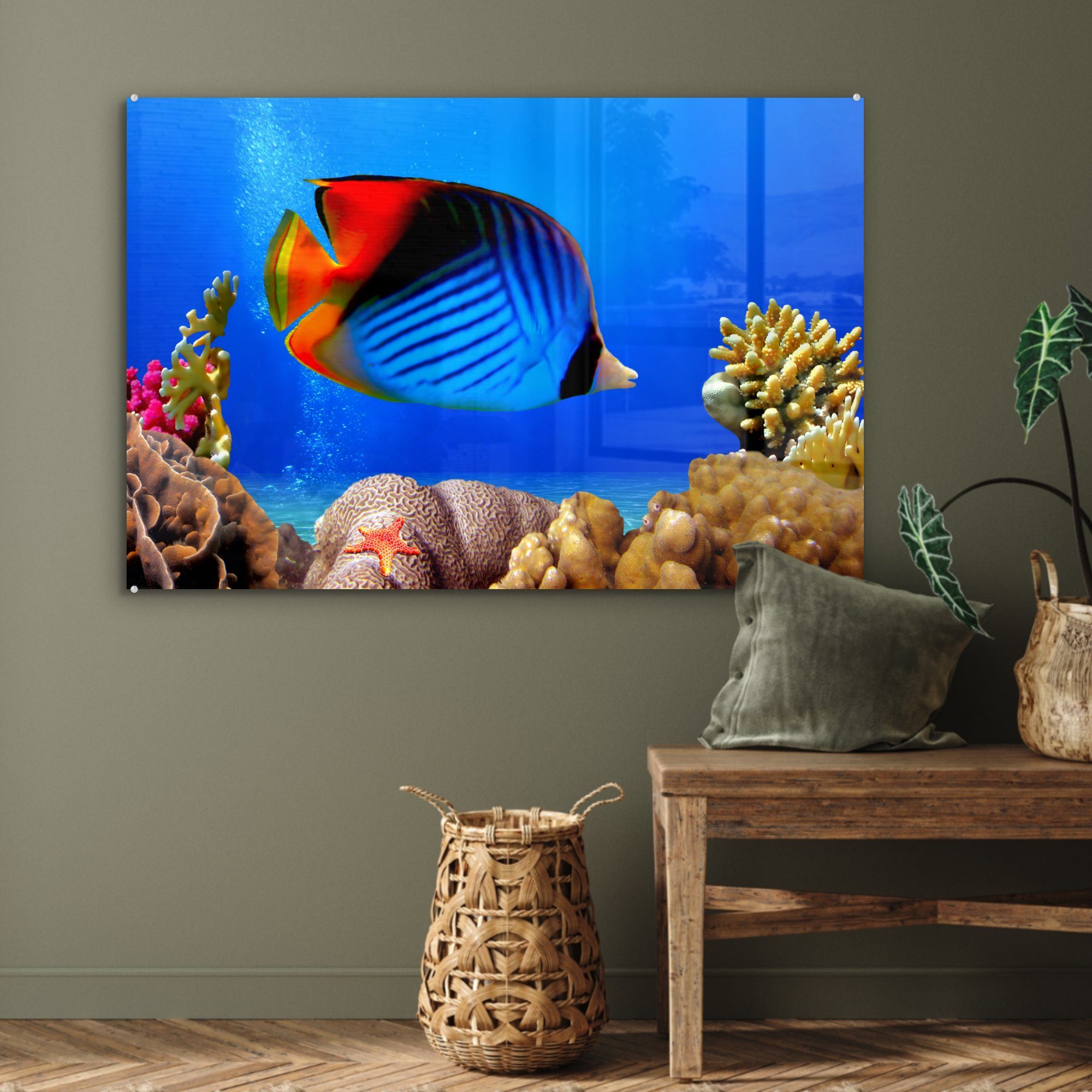 Korallen, Fische Wohnzimmer St), (1 MuchoWow - - & Acrylglasbild Acrylglasbilder Schlafzimmer Ägypten