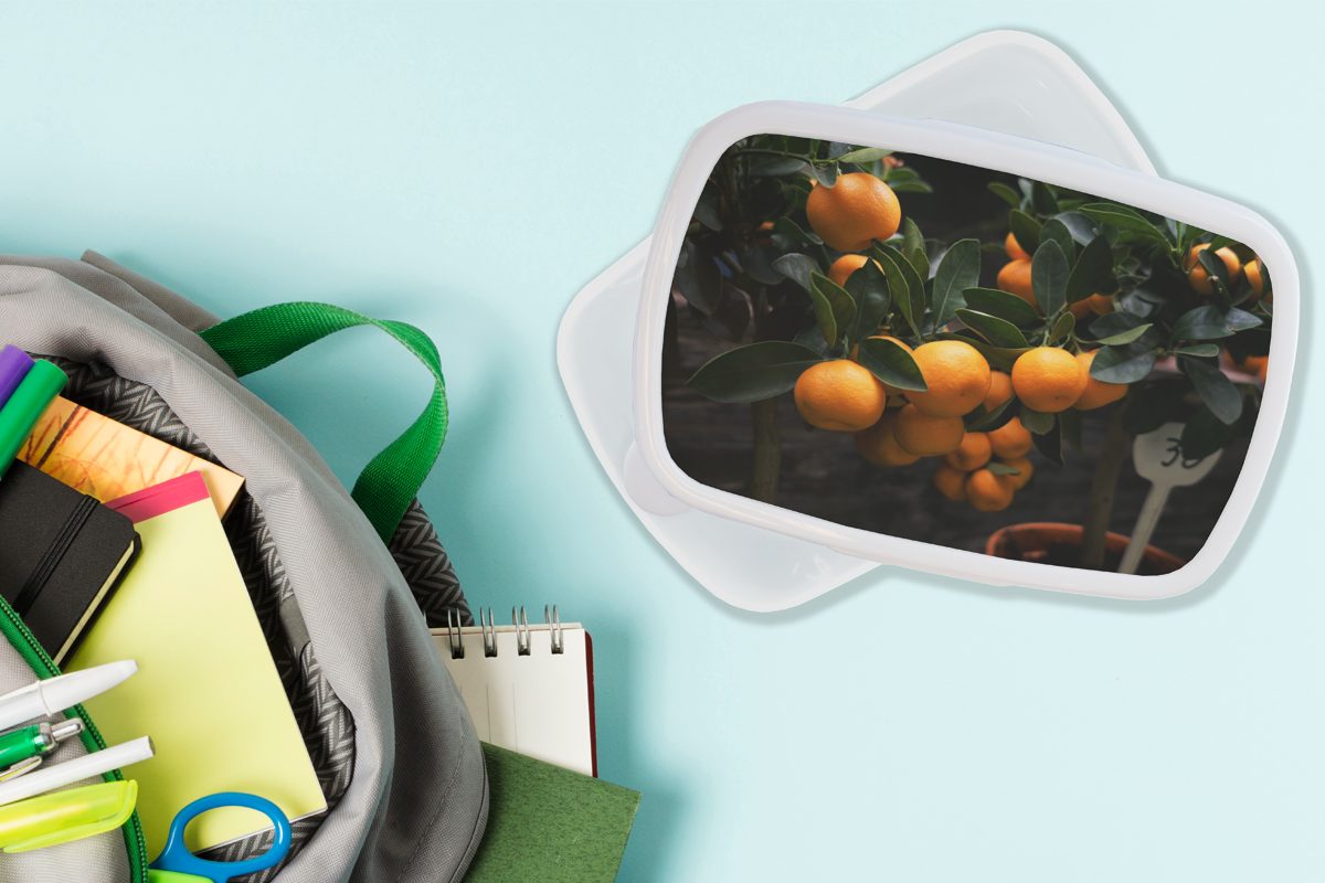 für Kinder Jungs und weiß Lunchbox Obst Kunststoff, und - - Erwachsene, Mädchen für Brotdose, (2-tlg), Orange MuchoWow Baum, Brotbox