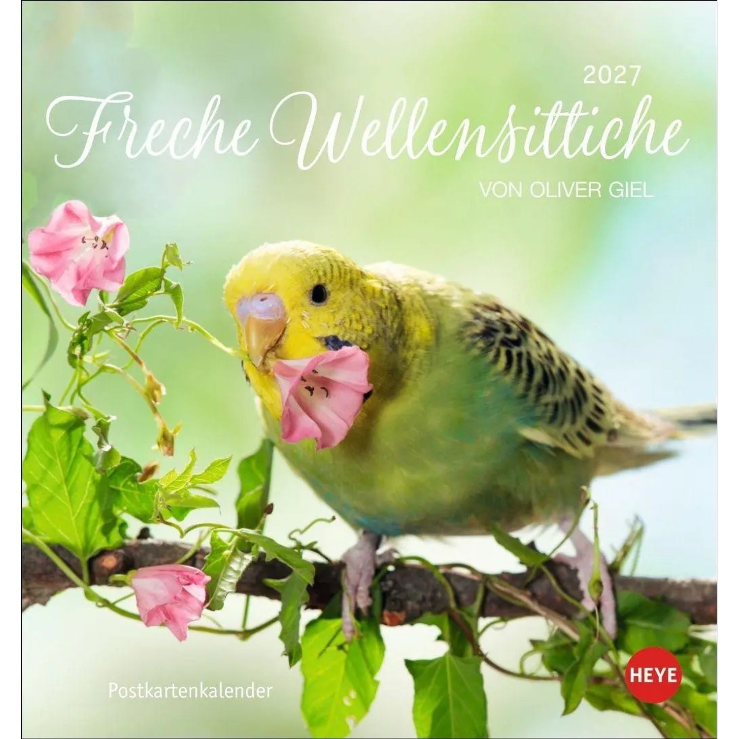 HEYE Wandkalender Freche Wellensittiche Postkartenkalender 2027