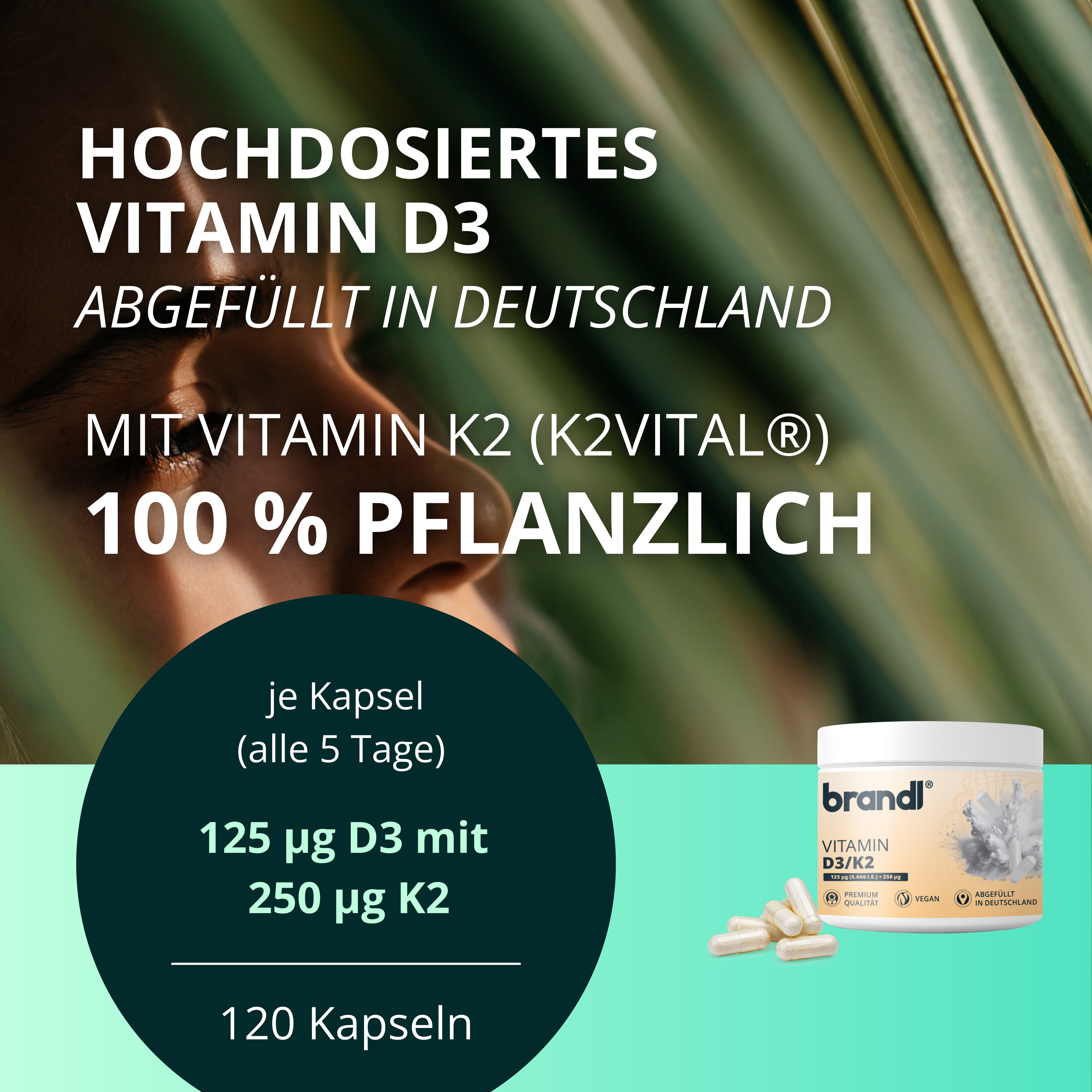 Brandl Nutrition Vitamin D3 K2 Kapseln Vegan mit 5.000 IU D3 und 250μg K2 - hochdosiert Kapseln, 120 er 120 St., hochdosierte Premium Kapseln, laborgeprüft, abgefüllt in DE