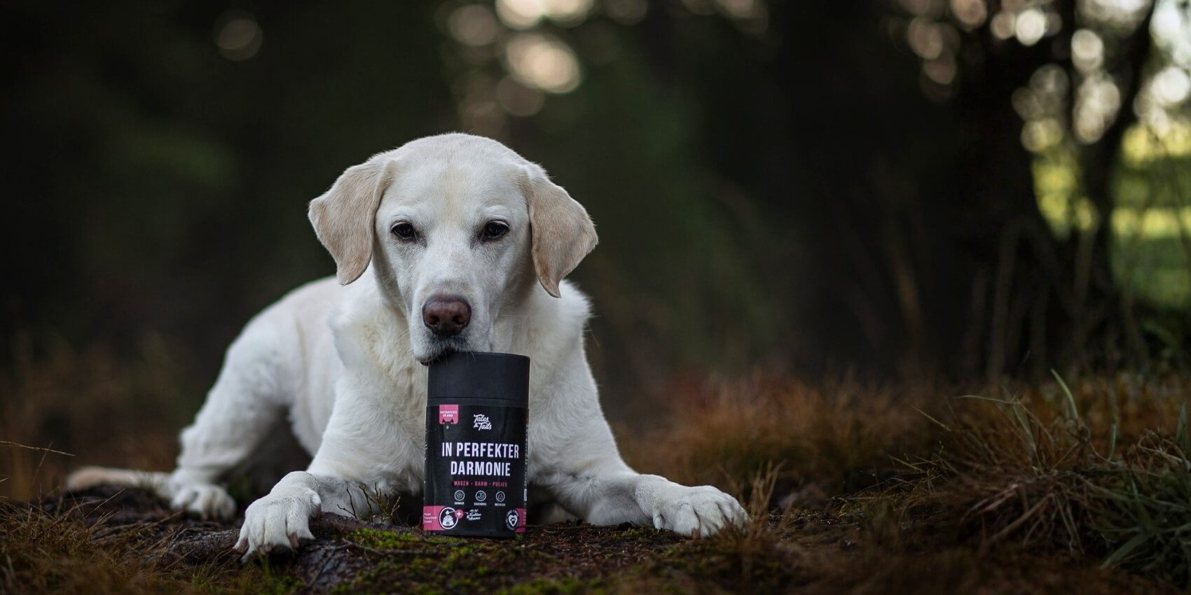 Tales & Tails Magen-Darm-Pulver - In perfekter Darmonie, Nahrungsergänzungsmittel für: Hunde