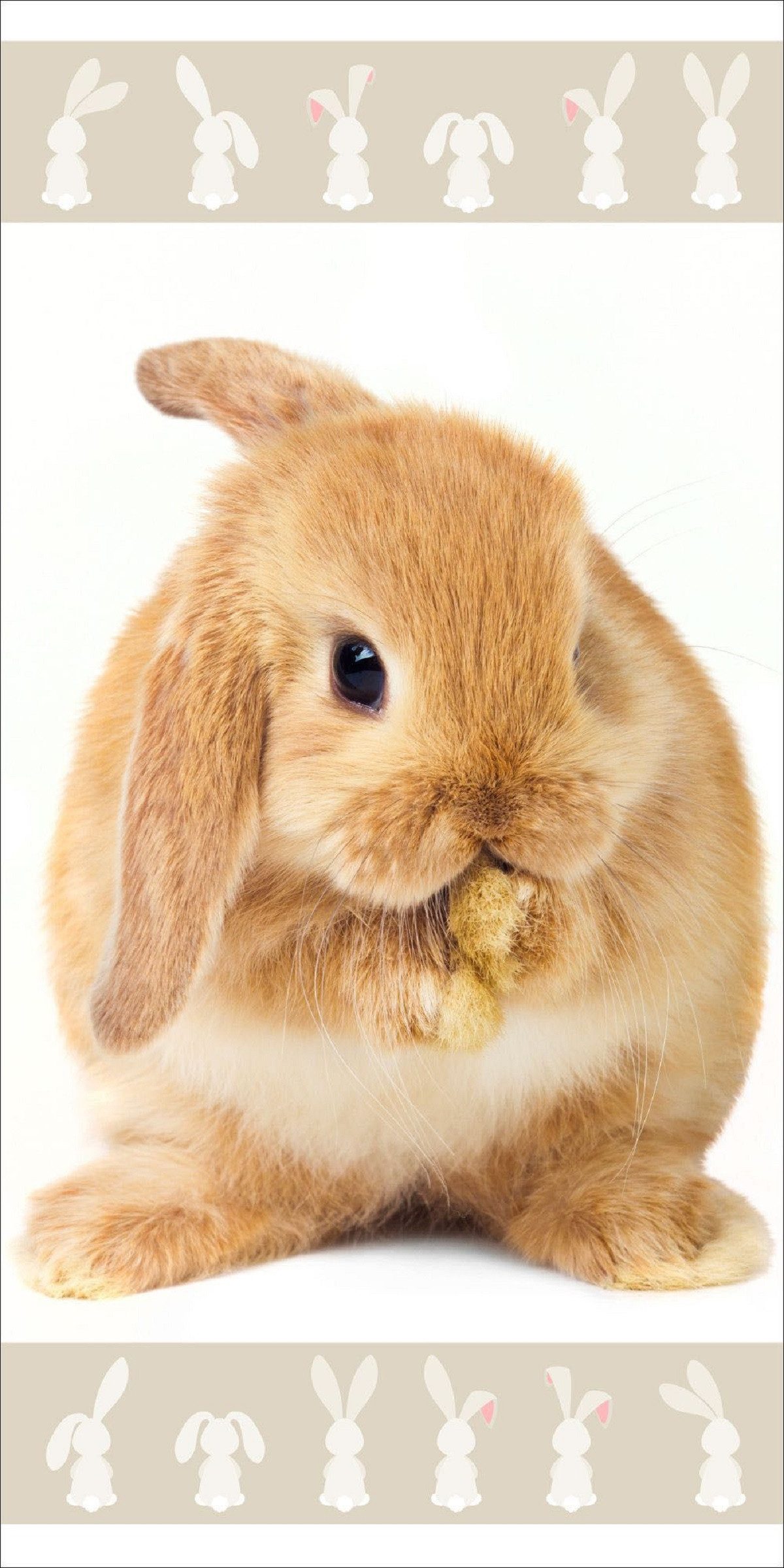 Jerry Fabrics Strandtuch Bunny Baumwolle Frottee günstig online kaufen