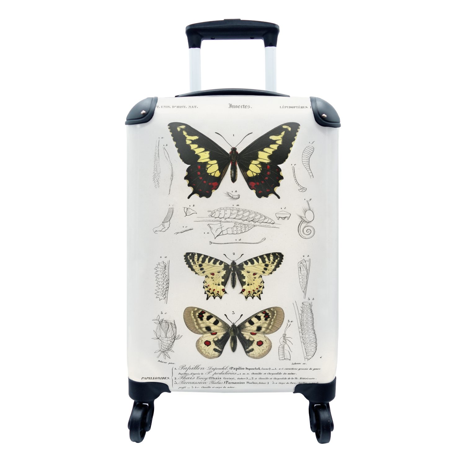 MuchoWow Handgepäckkoffer Schmetterling - Vintage - Insekten, 4 Rollen, Reisetasche mit rollen, Handgepäck für Ferien, Trolley, Reisekoffer