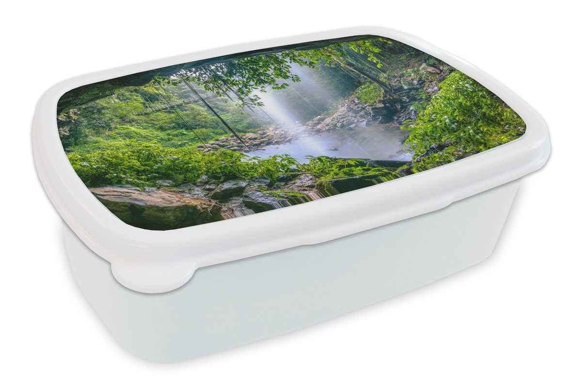MuchoWow Lunchbox Dschungel - Regenwald - Wasser - Wasserfall - Pflanzen, Kunststoff, (2-tlg), Brotbox für Kinder und Erwachsene, Brotdose, für Jungs und Mädchen weiß